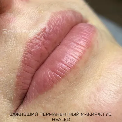 Красивый татуаж губ в розовых тонах на фото