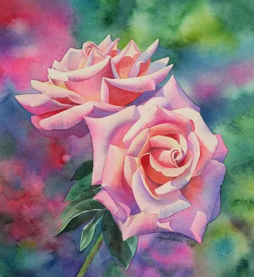 Розовые розы, а-а-а. #акварель #роза #впроцессе #цветы #рисунок  #учусьрисовать #watercolorpainting #watercolor #illustration #rose#f… |  Розовые розы, Розы, Акварель
