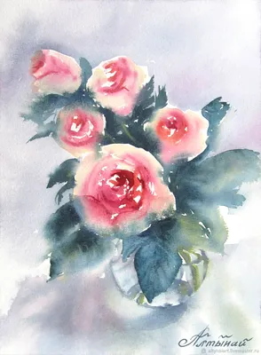 Розы Акварель