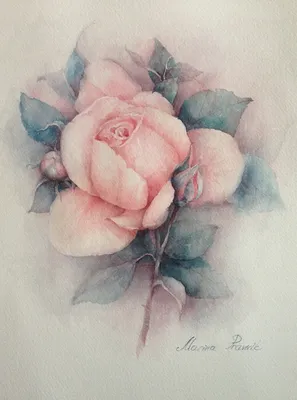 Картина: Розы в вазе. Букет цветов. Акварель – заказать на Ярмарке Мастеров  – QGX6GRU | Картины, Барнаул