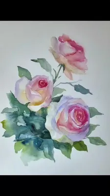 Фотообои \"Три розы акварель\" - Арт. 051306 | Купить в интернет-магазине  Уютная стена