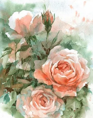 Иллюстрация Красные розы акварелью в стиле другое, натюрморт |