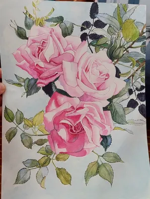 Картина по номерам Розы акварелью (Brushme G496) купить недорого.