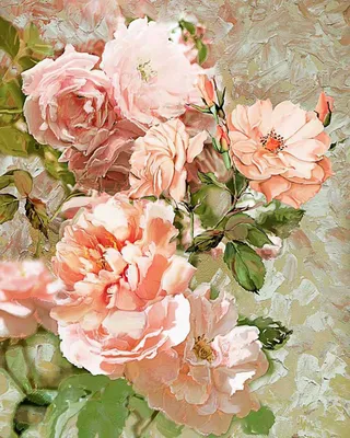 Рисунок розы акварелью - 60 фото