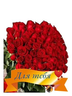 Красные и розовые розы для тебя Стоковое Изображение - изображение  насчитывающей внимательность, бирмингем: 163185607