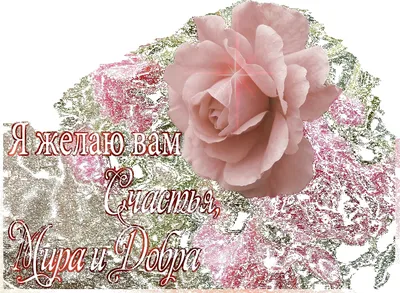 21 мая - ВСЕМИРНЫЙ ДЕНЬ РОЗ. Как чудесно - праздник роз , Этот... |  Интересный контент в группе ЗАРЕ НАВСТРЕЧУ !