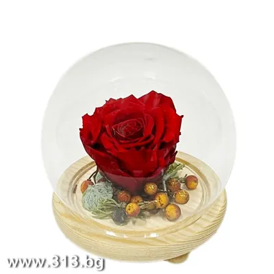 Розовые розы для тебя» — создано в Шедевруме