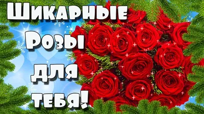 Красные и розовые розы для тебя Стоковое Фото - изображение насчитывающей  праздник, торжество: 163178904
