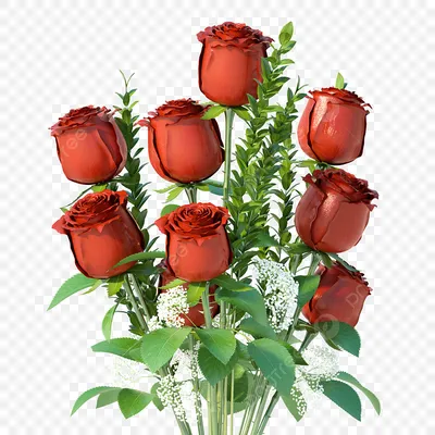 Эти Розы только для тебя 🌹🌹🌹🌹🌹♥️♥️Рекомендации | TikTok