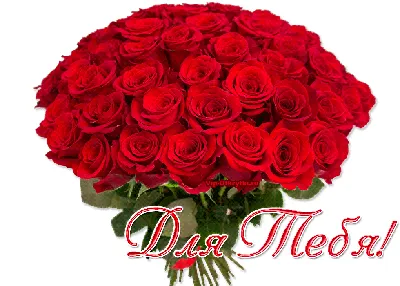 Букет \"Розы для тебя\"☑ - купить в Москве с доставкой. Стоимость 1500 рублей.