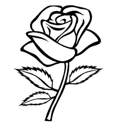 Роза рисунок | Roses drawing, Art drawings simple, Drawing tutorial easy