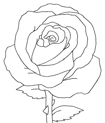 Роза рисунок карандашом для детей - 95 фото