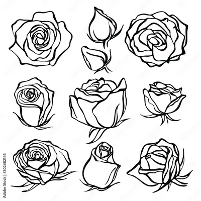 Раскраска рисунок розы. рисунок розы раскраска природа цветы рисунок розы с  бабочками раскраска. Скачать раскраски.