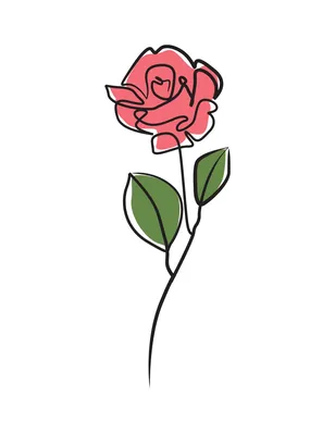 Раскраска цветы рисунок. Рисунок розы
