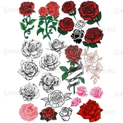 Рисунок розы | Цветы | Каталог Affresco