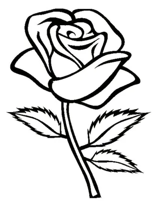 Графический рисунок,дектярные розы, д…» — создано в Шедевруме