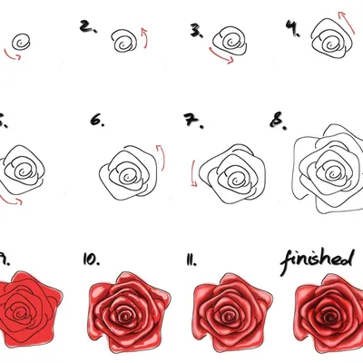 Рисунки розы » maket.LaserBiz.ru - Макеты для лазерной резки