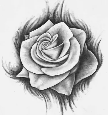 Рисунки розы легкие - 80 фото