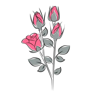 рисунок роза непрерывное рисование линий вектор цветок завод минималистский  рисованной PNG , цветочный рисунок, рисунок розы, рисунок растения PNG  картинки и пнг рисунок для бесплатной загрузки