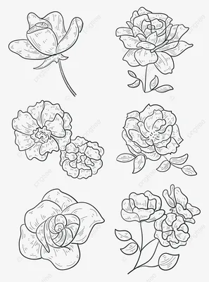 Ручной рисунок розы абстрактная иконка вектора контура цветка | Премиум  векторы