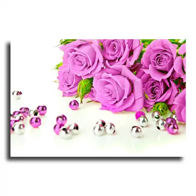 розовая роза на белом фоне, цветок, счастливый, розовый цветок фон картинки  и Фото для бесплатной загрузки