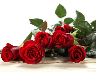 Букет роз на белом фоне стоковое фото ©Vitaly.R 25007793