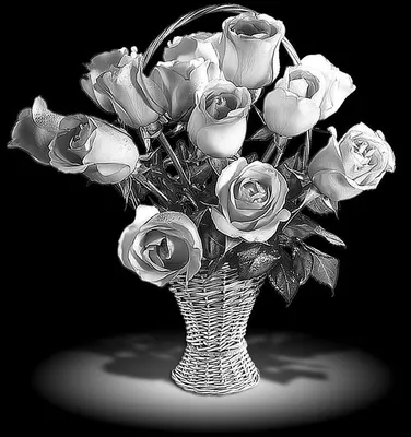 Розы для гравировки на памятник | Flower art, White art, Coloring pages