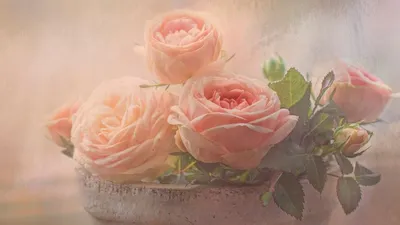 25 нежных розовых роз Пинк Атена | купить недорого | доставка по Москве и  области
