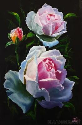 Букет из нежно-розовых роз купить в Кирове - бесплатная доставка цветов от  Дари Цветы