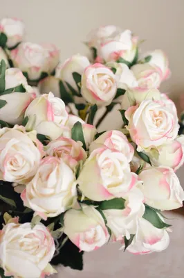 Заказать нежные розы FL-20 купить - хорошая цена на нежные розы с доставкой  - FLORAN.com.ua