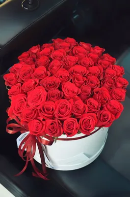 Only Rose — идеальные розы в коробке | Купить свежесрезанные пионовидные  розы «Бомбастик микс» в коробке