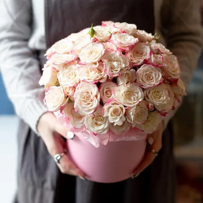 Розы в коробке 25 шт. №209 - 🌹 Цветы Новосибирск заказ: