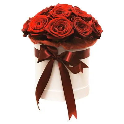Купить букет из 23 красных роз в шляпной коробке недорого в Кирове