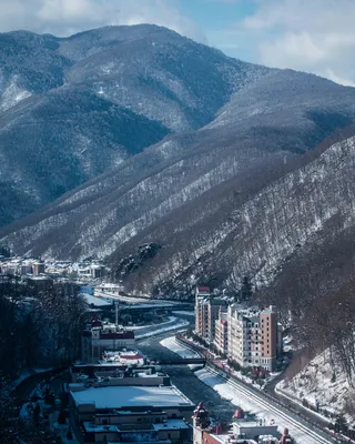 Розы на зиму: осенний уход, обрезка, укрытие