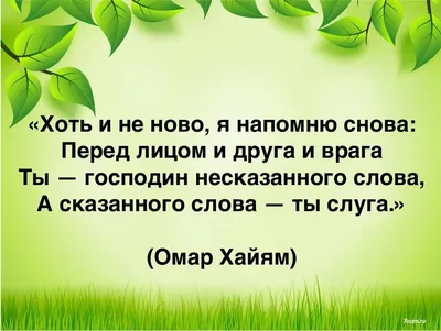 Так говорил Омар Хайам. Рубайят о смысле жизни, В. П. Бутромеев – скачать  книгу fb2, epub, pdf на ЛитРес