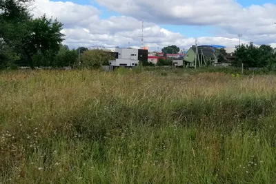 Концепция развития Рублёво-Архангельского, представленная Сбербанком —  Сообщество жителей посёлка Рублёво