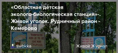 Забита первая свая в основание нового многоэтажного жилого дома - ООО  Специализированный Застройщик \"Програнд\"