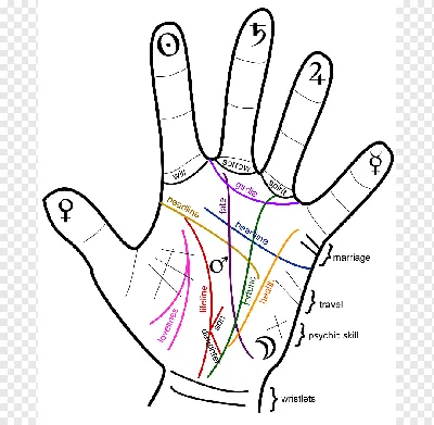 Фото хиромантии: разгадайте загадки вашей ладони