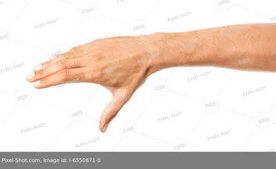 Картинка руки в формате WebP