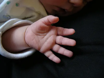 Миниатюрные пальчики ребенка
