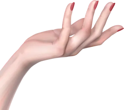 Картинка Руки женской с пальцем в кольце
