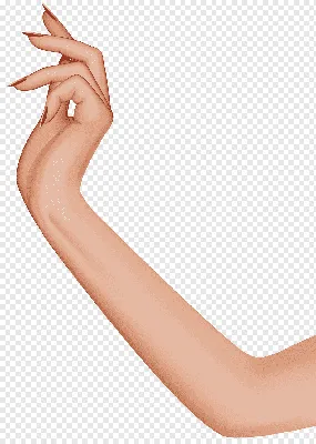 Фотография Руки женской с красным лаком на ногтях