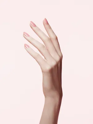 Рука женская: фото высокого разрешения