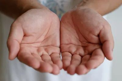 Руки миллионеров хиромантия: фото в формате JPG