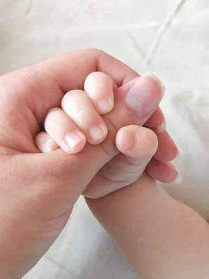 Руки младенца фотографии