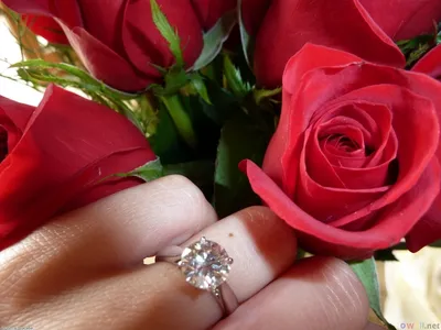 Руки с кольцом и цветами на свадебной фотографии