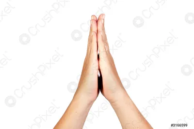 Руки в молитве: фотография в формате WebP