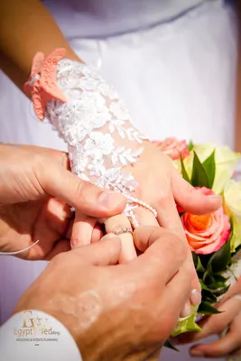 Руки жениха и невесты, символизирующие любовь и взаимопонимание