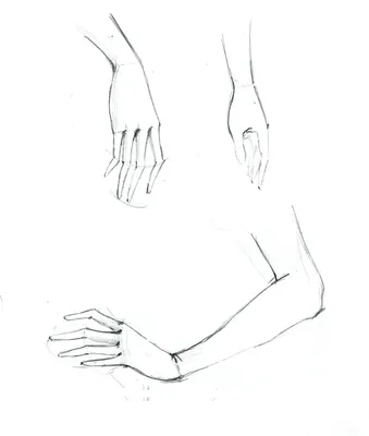 Красивые руки девушек на белом фоне