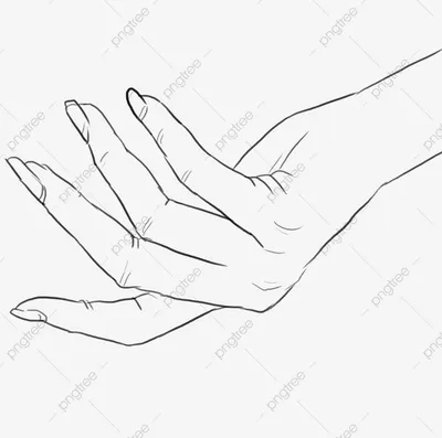 Фотография с изображением женских рук